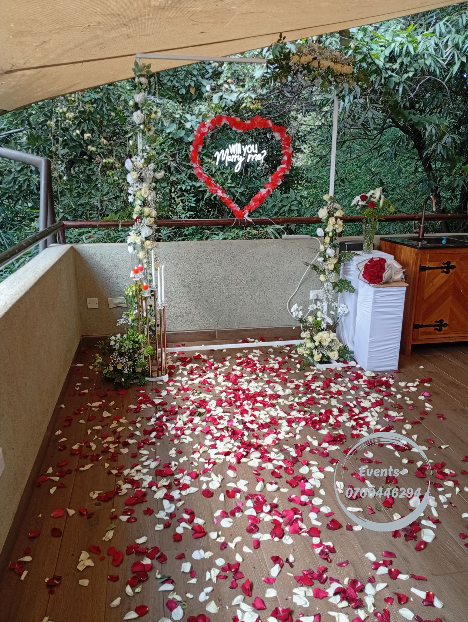 Special occasion red carpet décor